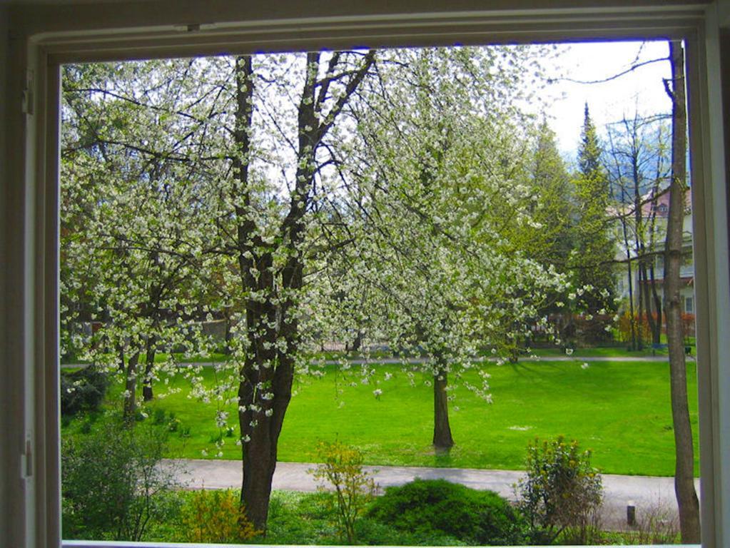 Ferienwohnung Am Ortenaupark Bad Reichenhall Extérieur photo